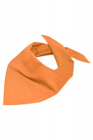 Oranje (ca. Pantone OrangeC)