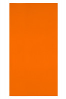Neon oranje (ca. Pantone 1505C)